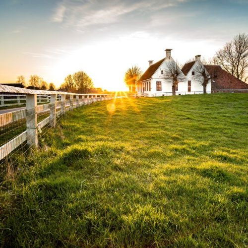 beautiful-shot-of-fence-leading-to-house-in-green-grass-area